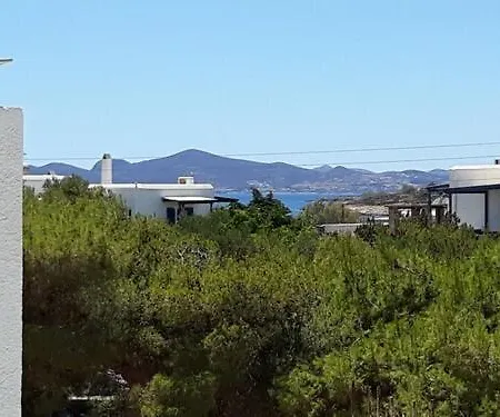 Apartment Holidays In Paros