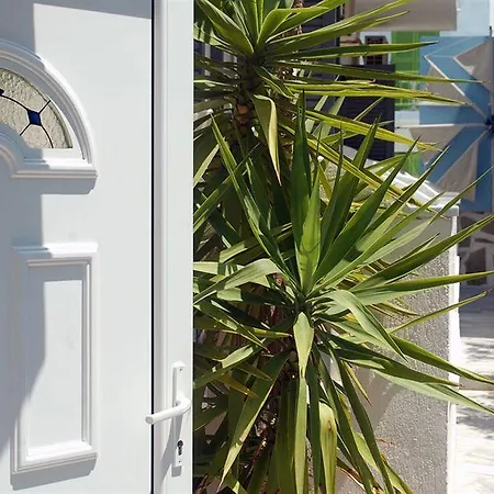 Holidays In Paros Aliki (Paros)