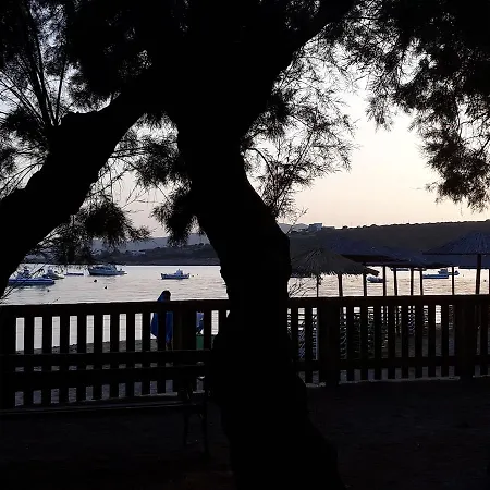 Holidays In Paros Alikí